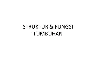 struktur fungsi tumbuhan