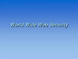 world wide web security