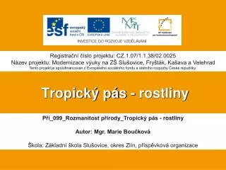 tropick p s rostliny