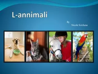 l annimali
