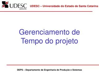 gerenciamento de tempo do projeto