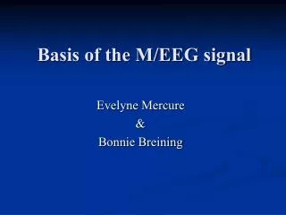 Basis of the M/EEG signal