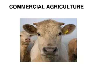 COMMERCIAL AGRICULTURE