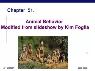 Animal Behavior Modified from slideshow by Kim Foglia