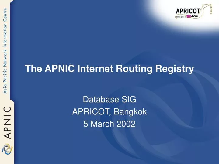 the apnic internet routing registry