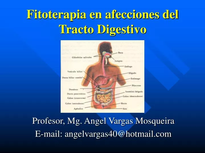 fitoterapia en afecciones del tracto digestivo