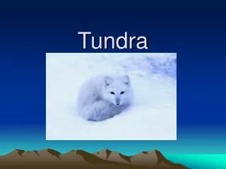 Tundra