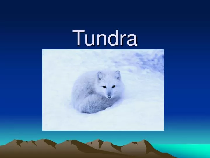 tundra