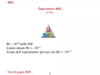 esperimento meg e