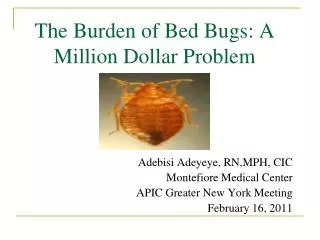 The Burden of Bed Bugs: A Million Dollar Problem