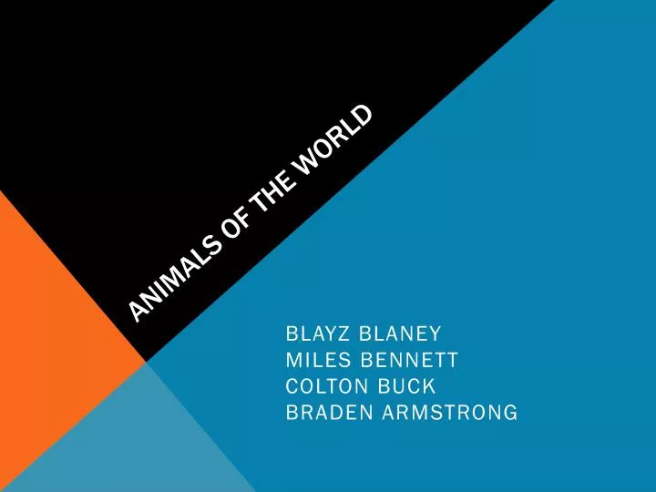 animals of the world