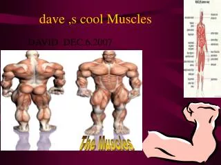 dave ,s cool Muscles