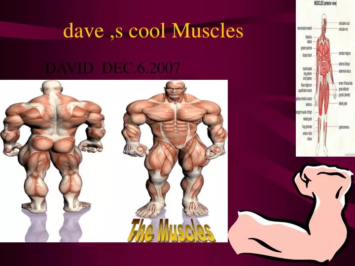 dave s cool muscles