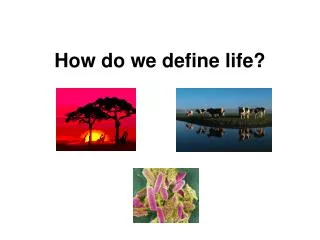 How do we define life?