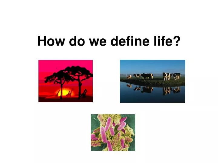 how do we define life