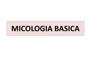 micologia basica