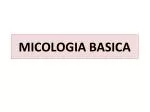 MICOLOGIA BASICA - slide 1