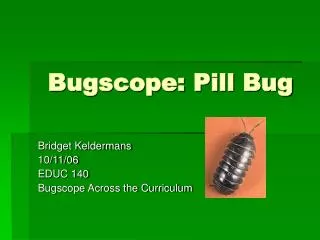 Bugscope: Pill Bug