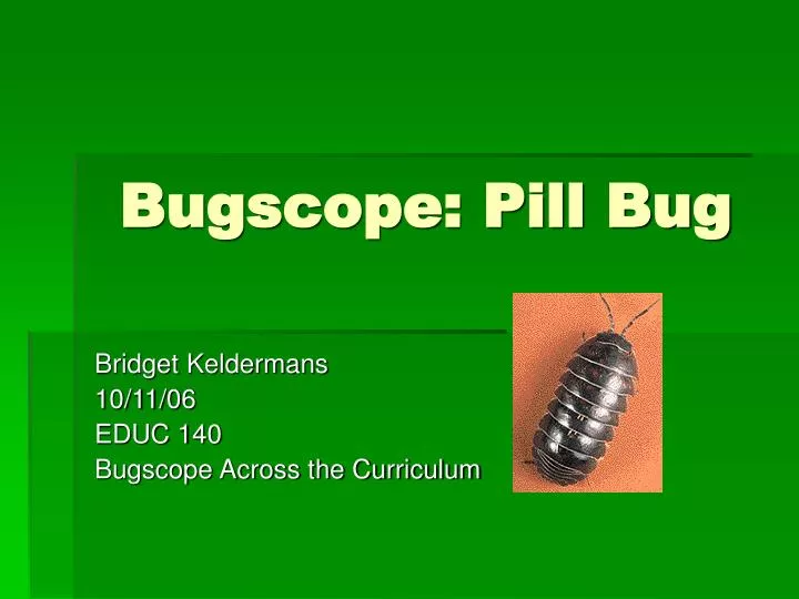 bugscope pill bug