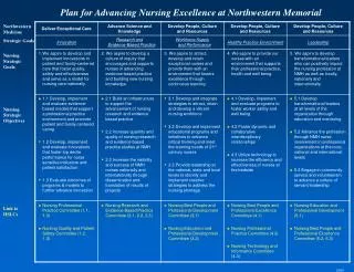 Northwestern Medicine Strategic Goals