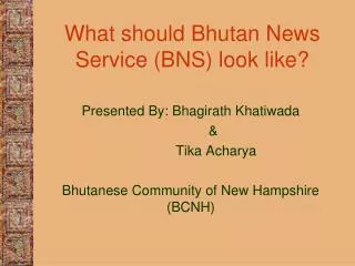 What should Bhutan News Service (BNS) look like?