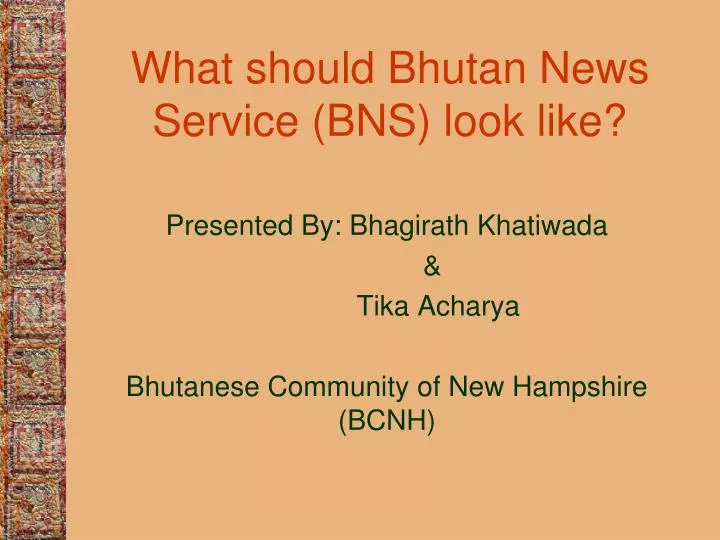 what should bhutan news service bns look like
