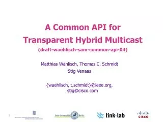 A Common API for Transparent Hybrid Multicast ( draft-waehlisch-sam-common-api-04)
