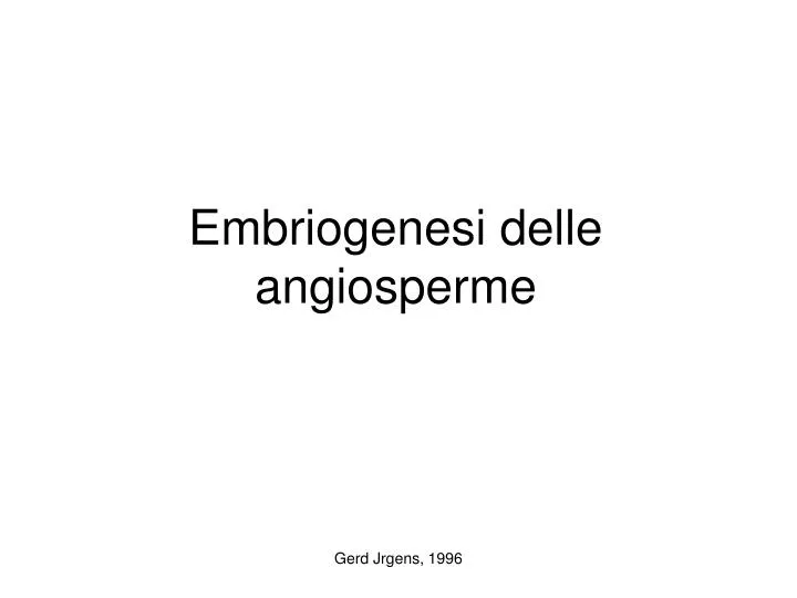 embriogenesi delle angiosperme