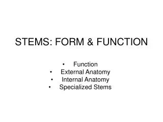 STEMS: FORM &amp; FUNCTION
