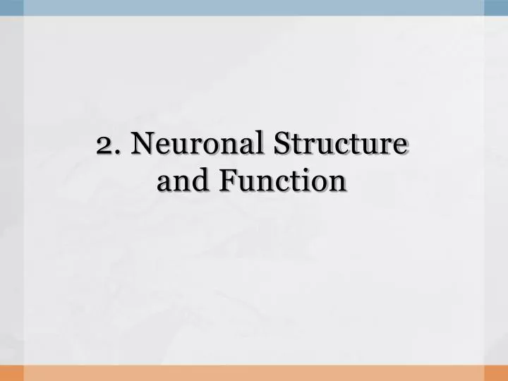 2 neuronal structure and function