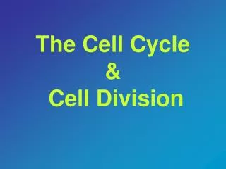 The Cell Cycle &amp; Cell Division