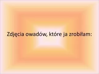 zdj cia owad w kt re ja zrobi am