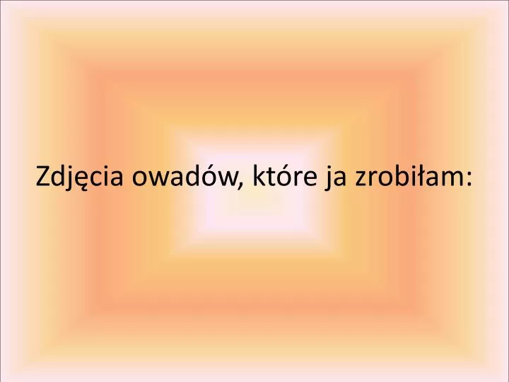 zdj cia owad w kt re ja zrobi am