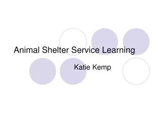 Animal Shelter Service Learning