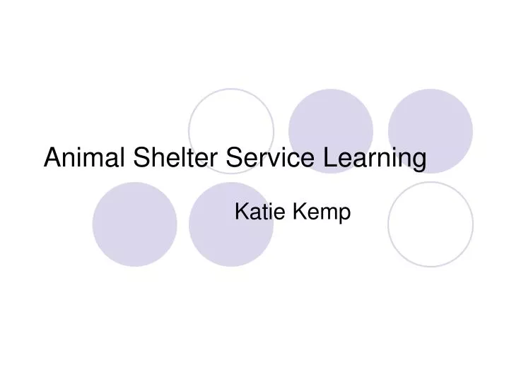 animal shelter service learning