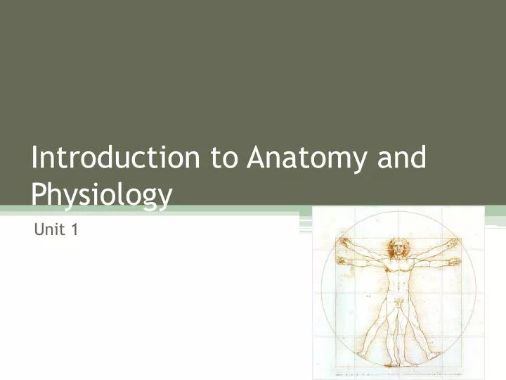 introduction to anatomy and physiology