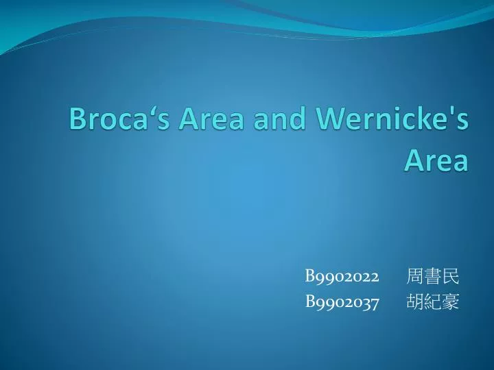 broca s area and wernicke s area