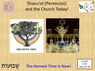 Leviticus 23:15-18 (NIV) Feast of Weeks : Pentecost