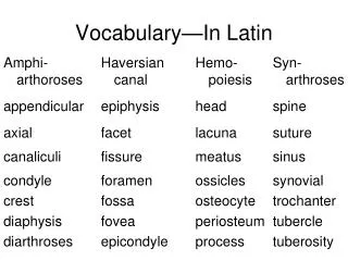 vocabulary in latin