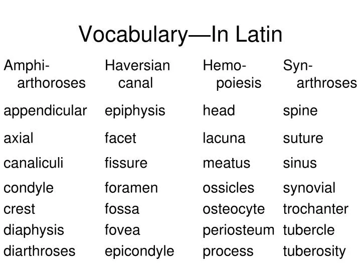 vocabulary in latin