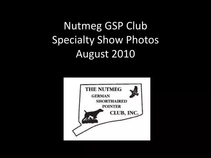 nutmeg gsp club specialty show photos august 2010