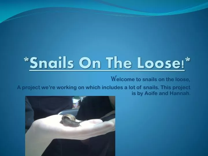 snails o n the loose