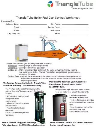 Triangle Tube Boiler Fuel Cost Savings Worksheet