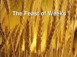 The Feast of Weeks