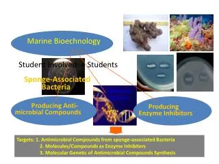 Marine Bioechnology