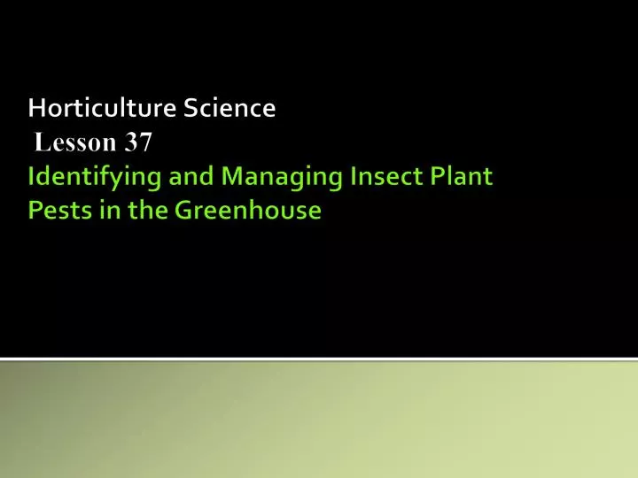 horticulture science lesson 37 identifying and managing insect plant pests in the greenhouse