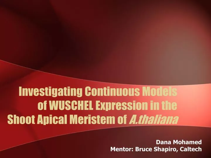 investigating continuous models of wuschel expression in the shoot apical meristem of a thaliana