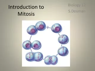 Introduction to Mitosis