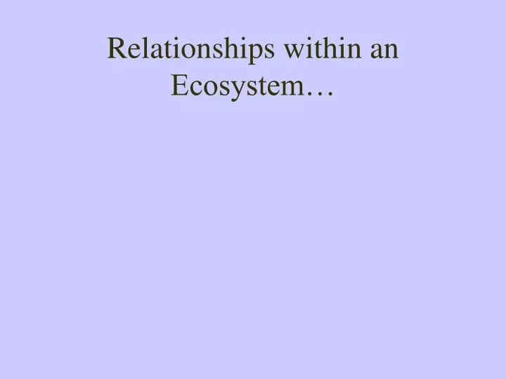 relationships within an ecosystem
