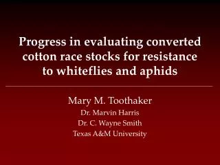Progress in evaluating converted cotton race stocks for resistance to whiteflies and aphids